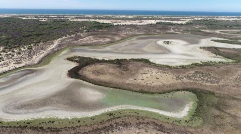 sequia-laguna-donnana La laguna de Santa Olalla, en Doñana, seca en agosto de 2022