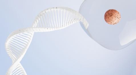ADN Las dolencias genéticas se producen como consecuencia de mutaciones en la secuencia de los genes