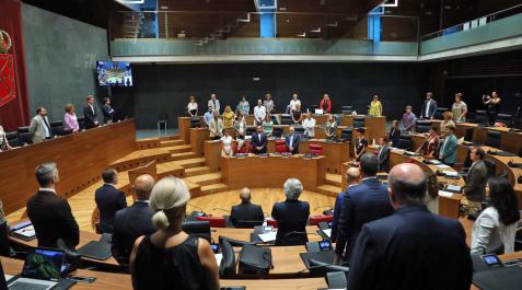 pleno Parlamento de Navarra pleno Parlamento de Navarra