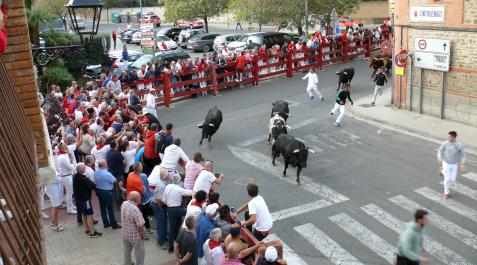 La manada toma la curva para dirigirse a la plaza de toros en el encierro del jueves en Cintruénigo. La manada toma la curva para dirigirse a la plaza de toros en el encierro del jueves en Cintruénigo