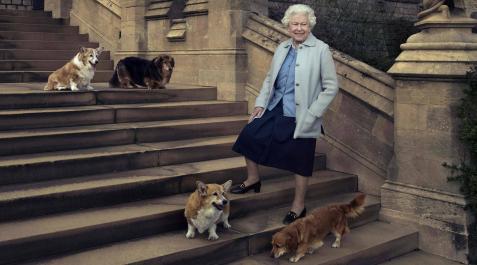 reina-isabel-perros La reina, posando en 2016 con sus perros en una de las escaleras del castillo de Windsor