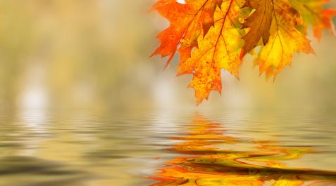 otoño En una semana nos adentraremos en el otoño