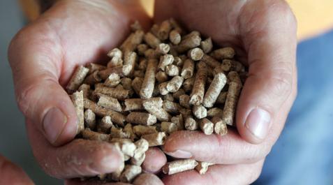 Pellets A: EDUARDO BUXENS
F: 19 junio 2009
L: SANGUESA
P:
T: PELLETS DE MADERA - INAUGURACION DE BIOTERNA- EMPRESA QUE ELABORA PELLETS DE MADERA DESTINADOS A LA CALEFACCION- COMBUSTIBLES NO FOSILES