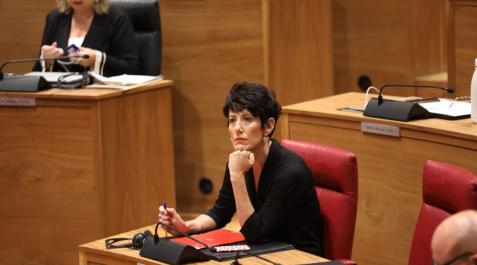 Elma Saiz, este jueves, en el Parlamento de Navarra Elma Saiz, este jueves, en el Parlamento de Navarra