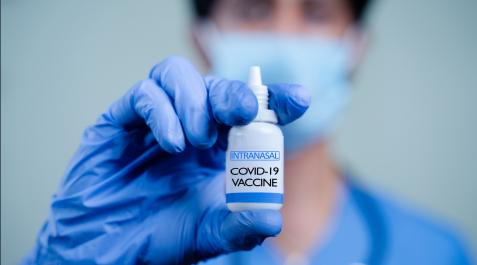 vacuna-intranasal Las vacunas intranasales detienen antes al virus y podrían prevenir la transmisión entre personas