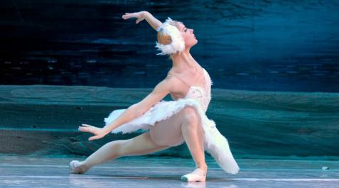 ballet-kiev 'El lago de los cisnes' del Ballet de Kiev se representará en el Teatro Gayarre de Pamplona