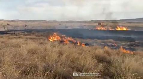 incendio-bardenas Incendio forestal en la zona del polígono de tiro de las Bardenas (Arguedas)