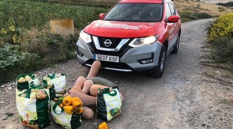 Imagen de parte de los productos que habían sido robados de varias fincas en Cadreita y Villafranca Imagen de parte de los productos que habían sido robados de varias fincas en Cadreita y Villafranca