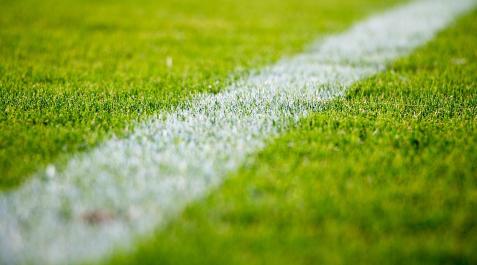 Césped de un campo de fútbol Césped de un campo de fútbol