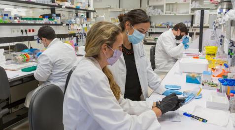 UN investigación N investigación