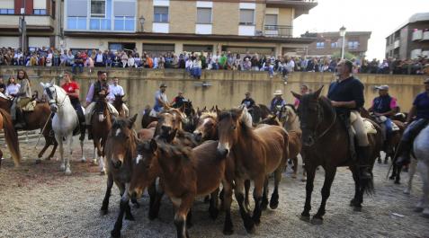 marcilla galdona Bajada de los potros acompañados por los caballistas al foso del castillo de Marcilla