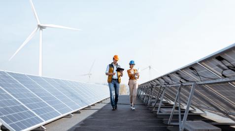 Renovables Se ha producido un desarrollo exponencial de iniciativas verdes.