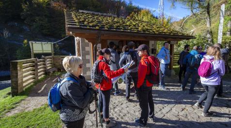Fotos de los turistas en la selva de Irati en otoño 2022. Fotos de los turistas en la selva de Irati en otoño 2022.