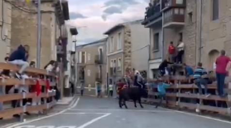 Captura de pantalla del vídeo que se ha viralizado en redes sociales en el que un mozo ha resultado herido grave en el encierro de las fiestas de Santa Úrsula de Murillo el Fruto Captura de pantalla del vídeo que se ha viralizado en redes sociales en el que un mozo ha resultado herido grave en el encierro de las fiestas de Santa Úrsula de Murillo el Fruto