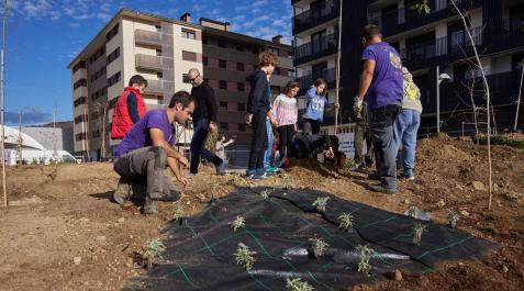 Un momento de la plantación de ayer. Se espera que en cinco años dé “sus frutos” y sombra Un momento de la plantación de ayer. Se espera que en cinco años dé “sus frutos” y sombra