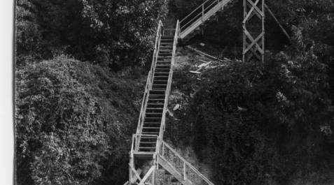 Escaleras Singular