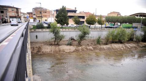 La primera parte de la limpieza se ha centrado en el cauce del Arga a la altura del casco urbano La primera parte de la limpieza se ha centrado en el cauce del Arga a la altura del casco urbano