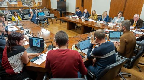 Un momento de la sesión plenaria celebrada este jueves por la tarde en el Ayuntamiento de Estella Un momento de la sesión plenaria celebrada este jueves por la tarde en el Ayuntamiento de Estella