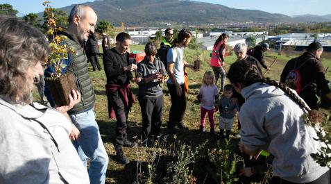 plantacion-bosque-agustinos 68 personas voluntarias, acompañadas por alumnado del ciclo de Educación y Calidad Ambiental del CI Agroforestal, técnicas municipales y alumnado de la escuela taller de Jardinería, plantarán ejemplares pequeños de arces, nogales, pinos, serbales, encinas y robles, además de arbustos