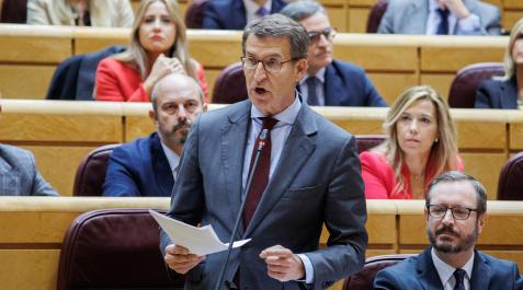 El líder del Partido Popular, Alberto Núñez Feijóo, en el Senado Núñez Feijóo