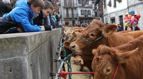 lesaka feria Dos menores contemplan unos ejemplares bovinos en la Feria de Lesaka