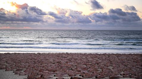 cancer-piel-asutralia Más de 2.000 personas posaron desnudas en la playa australiana de Bondi, en Sídney, para