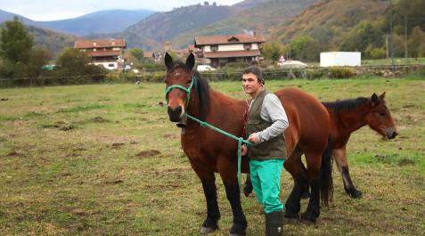 Lantz Luis Mariñelarena explora a una yegua en un prado de Lantz.