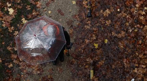 La caída de las hojas en época otoñal crea hermosos paisajes urbanos que invitan al paseo relajado por la orilla del rio Arga La caída de las hojas en época otoñal crea hermosos paisajes urbanos que invitan al paseo relajado por la orilla del rio Arga