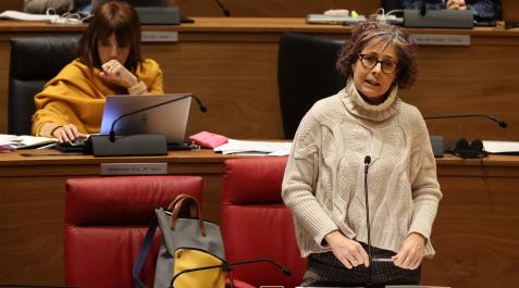rebeca esnaola La consejera de Cultura y Deporte del Gobierno de Navarra, Rebeca Esnaola, durante su intervención en el pleno del Parlamento foral