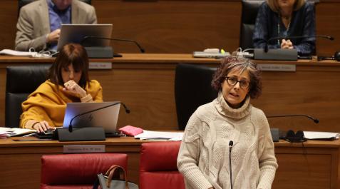 Rebeca Esnaola, durante su comparecencia en el Parlamento Rebeca Esnaola, durante su comparecencia en el Parlamento