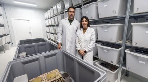 Mireya y Asier Erroba Mireya y Asier Erroba, de Insecma