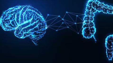 Lo que pensamos y sentimos afecta a la microbiota (y viceversa) Lo que pensamos y sentimos afecta a la microbiota (y viceversa)