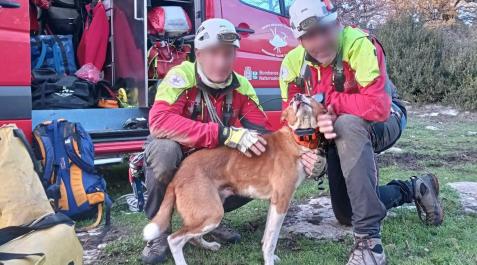 messi Dos bomberos, con el perro rescatado