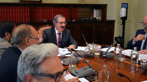 Consejo General del Poder Judicial Pleno extraordinario del Consejo General del Poder Judicial (CGPJ), presidido por el vocal Rafael Mozo