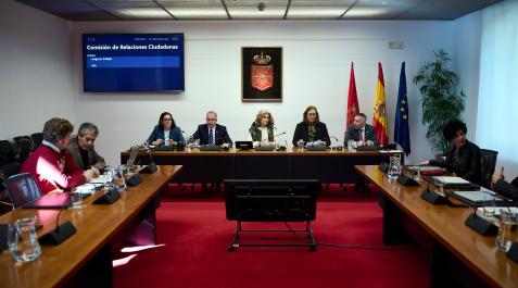 AVT Parlamento de Navarra AVT Parlamento de Navarra