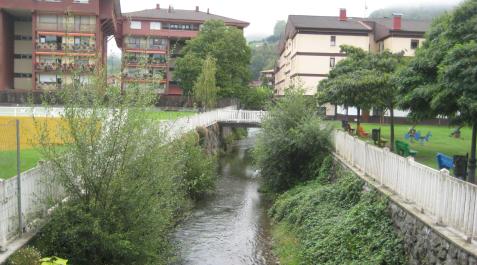 Lesaka Detalle de un arroyo que surca las entrañas de Lesaka