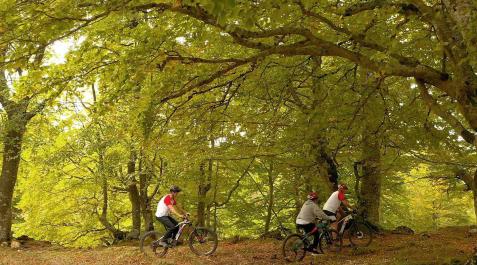La comarca recupera su turismo prepandemia con 15.881 visitantes La comarca recupera su turismo prepandemia con 15.881 visitantes