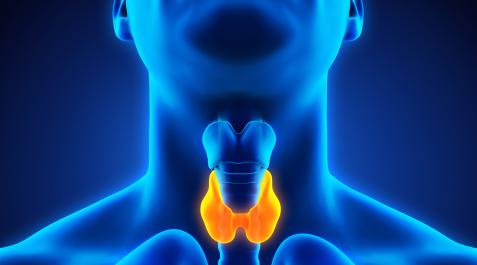 CANCER-TIROIDES Cáncer de tiroides
