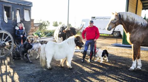 Falces Javier Olcoz y su mujer, Beatriz Zafra, junto a algunos de los animales que estos días han ayudado a los Reyes Magos y a Olentzero a llegar a muchos pueblos y ciudades.