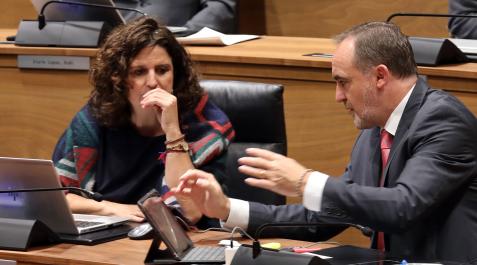 marta-alvarez La parlamentaria de Navarra Suma Marta Álvarez junto a Javier Esparza, en una sesión anterior del Parlamento de Navarra
