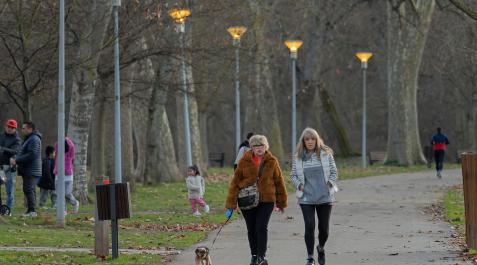 Estella Personas paseando entre los árboles del parque de Los Llanos.