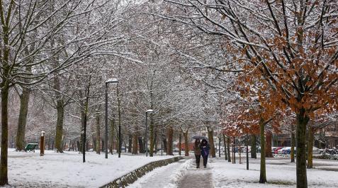 Nieve en Pamplona Nieve en Pamplona.