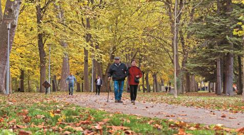 Paseantes en el parque de los Llanos próxima a los columpios junto a los cines que ampliaría su espacio Paseantes en el parque de los Llanos próxima a los columpios junto a los cines que ampliaría su espacio