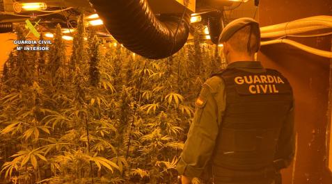 marihuana-indoor Una de las plantaciones 'indoor' de marihuana encontrada en dos viviendas de Andosilla y Cortes por la Guardia Civil