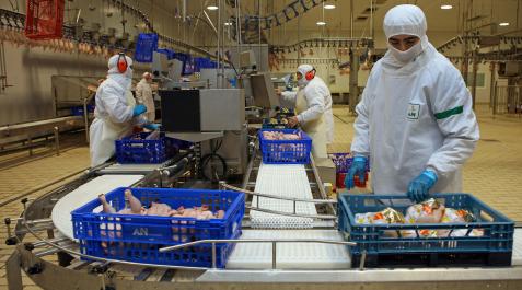 melida Messuprel es una empresa que presta servicios en las instalaciones del grupo AN en Mélida
