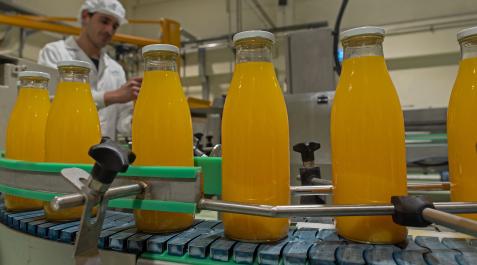ekolo La fábrica está dispuesta sobre una pendiente para aprovechar la gravedad y prescindir de bombas para el transporte del producto en la línea