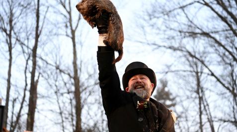 La marmota Phil ha salido de la madriguera este jueves pronosticando seis semanas más de invierno La marmota Phil ha salido de la madriguera este jueves pronosticando seis semanas más de invierno