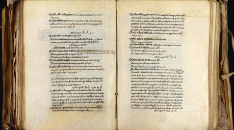 Documento de la Cámara de Comptos sobre la Peste Negra. Documento de la Cámara de Comptos sobre la Peste Negra.