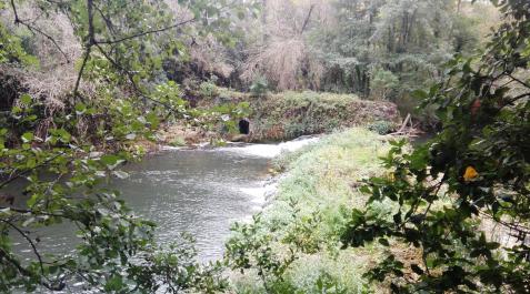 presa 1 presa