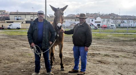 Óscar Carrato (izda.), y Pedro Fabo con Pelegrina este jueves en Tafalla en un recinto ferial vacío Tafalla